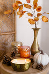 Pomander Petite Shimmer 8oz Soy Candle / Orange Glass