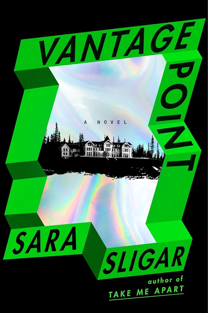 Vantage Point: A Novel cover image