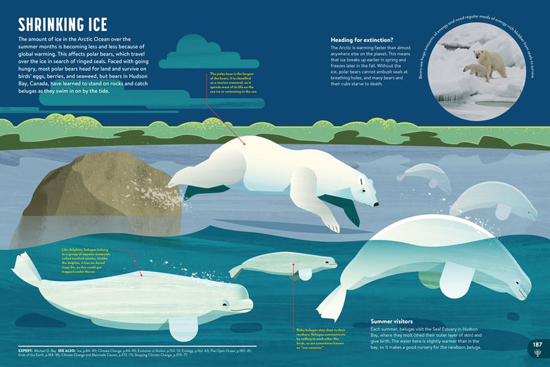 Britannica All New Kids' Encyclopedia: What We Know & What We Don't