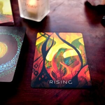 Wisdom of the Shadow Meditation Cards & Book